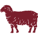 merino